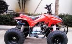 ATV 125 003 7 Col červený